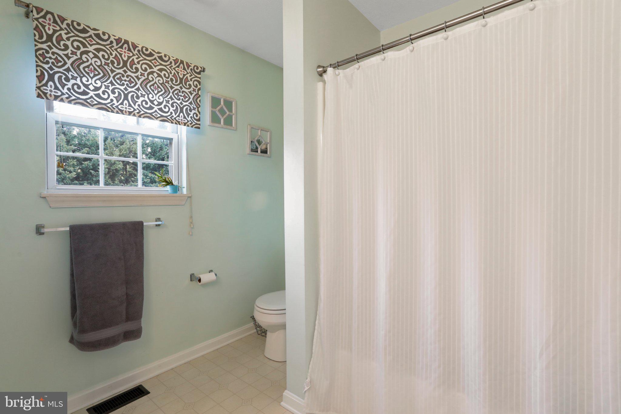 365 Bowman Mill Road Strasburg, VA 22657 - Photo 15 of 32 Attached Primary Bathroom