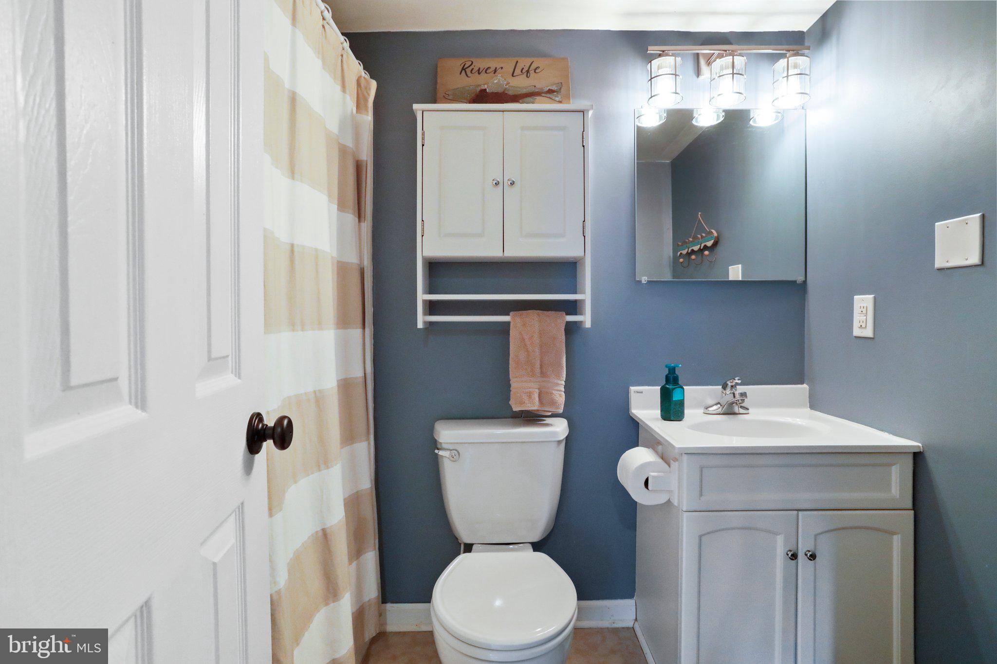 365 Bowman Mill Road Strasburg, VA 22657 - Photo 22 of 32 Lower Level Full Bath