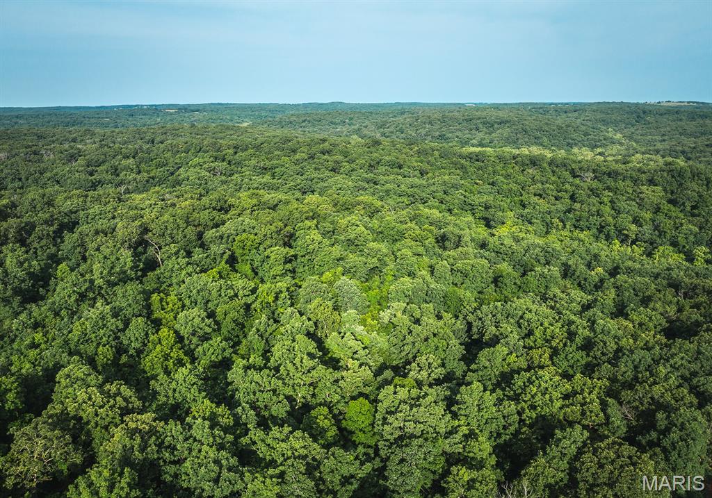 4 State Road Edwards, MO 65326 - Photo 11 of 20