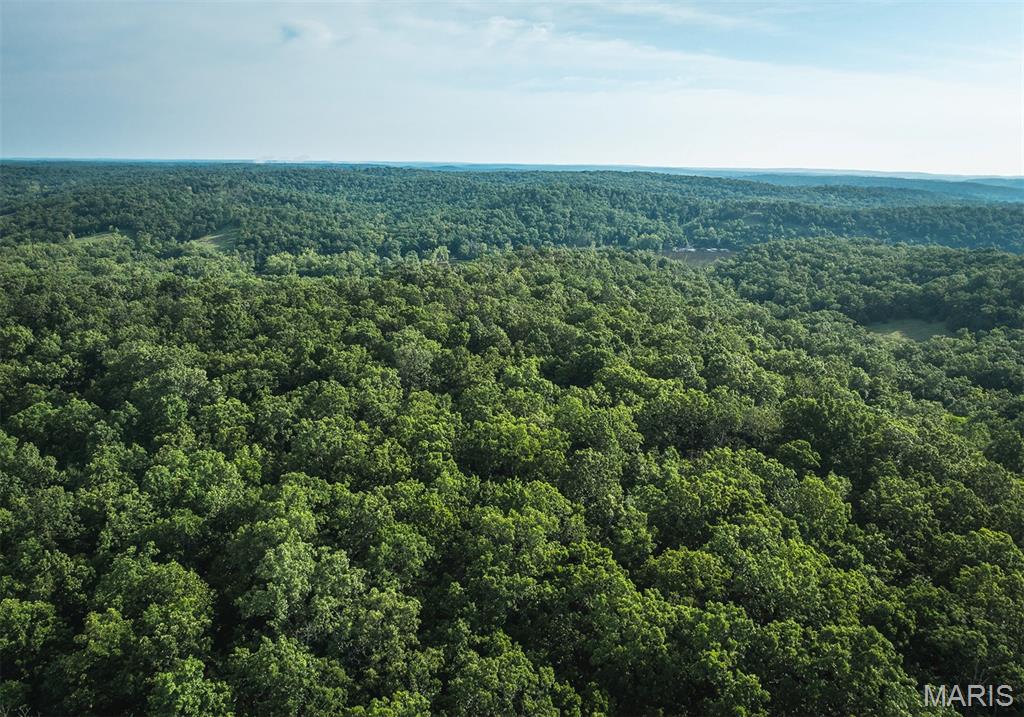 4 State Road Edwards, MO 65326 - Photo 12 of 20