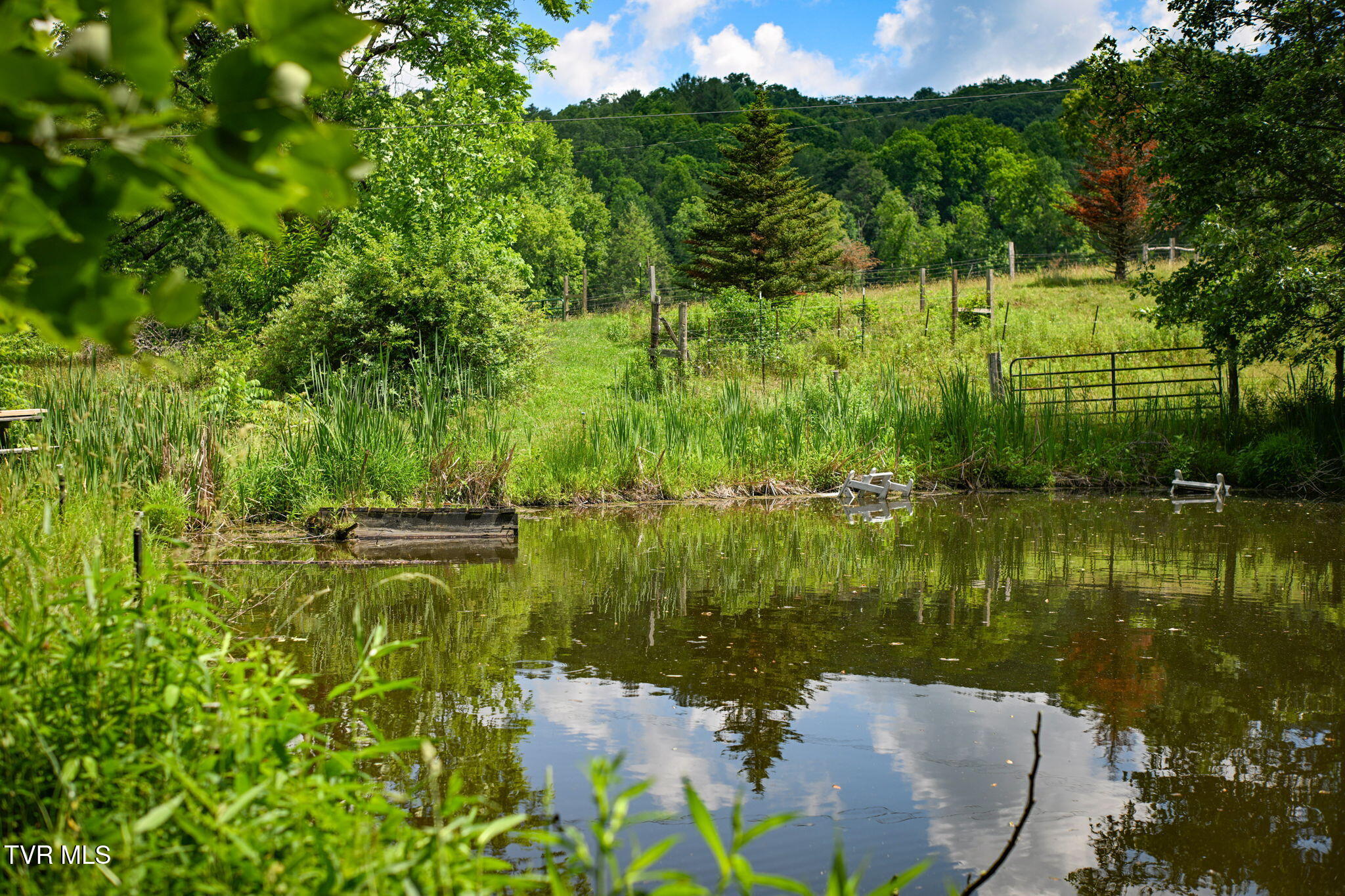 120 Teaberry Road Roan Mountain, TN 37687 - Photo 44 of 56 43-web-or-mls-EXT_4024