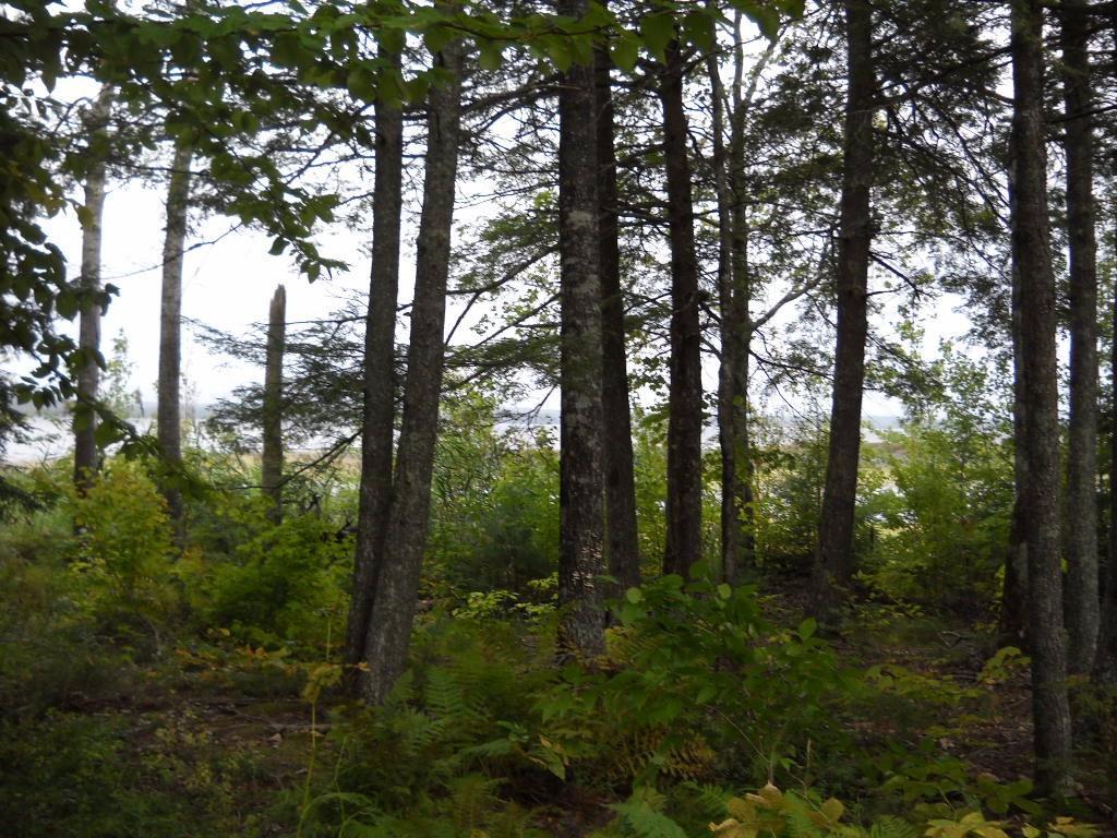 53-54 Whitmore Road Ellsworth, ME 04605 - Photo 10 of 27 Photo