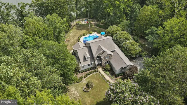 a view of a swimming pool with chairs and potted plants