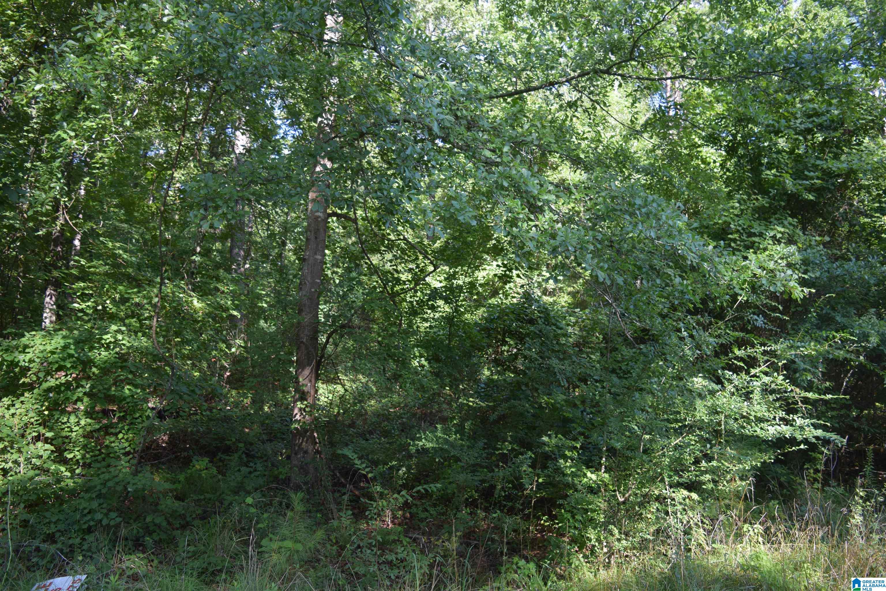 8401 Serene Lake Road, Unit 8401 McCalla, AL 35111 - Photo 5 of 7