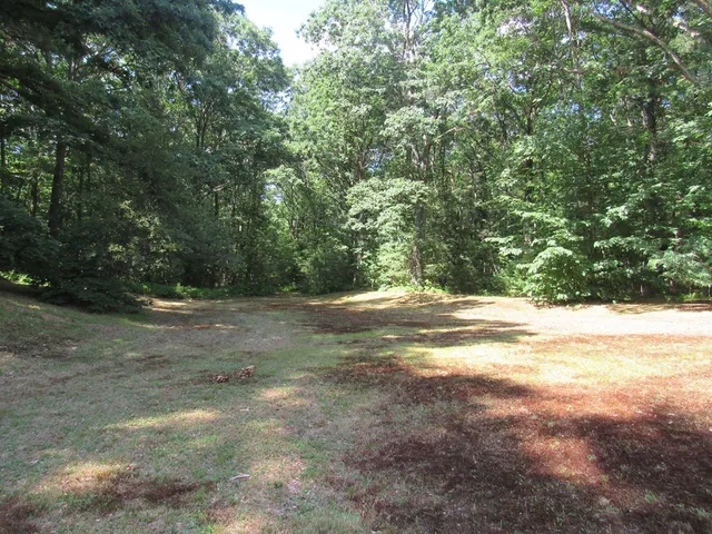 a view of a yard with large trees