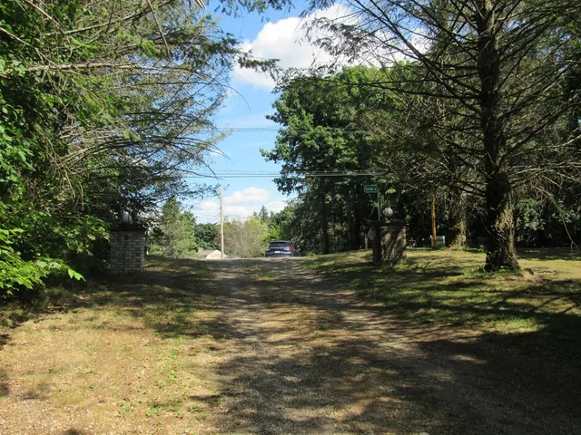 a view of a yard with a trees
