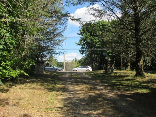 a view of a yard with a fountain