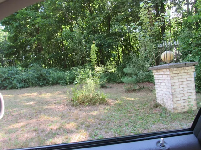 a view of outdoor space and garden