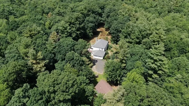 a view of a forest with a toilet