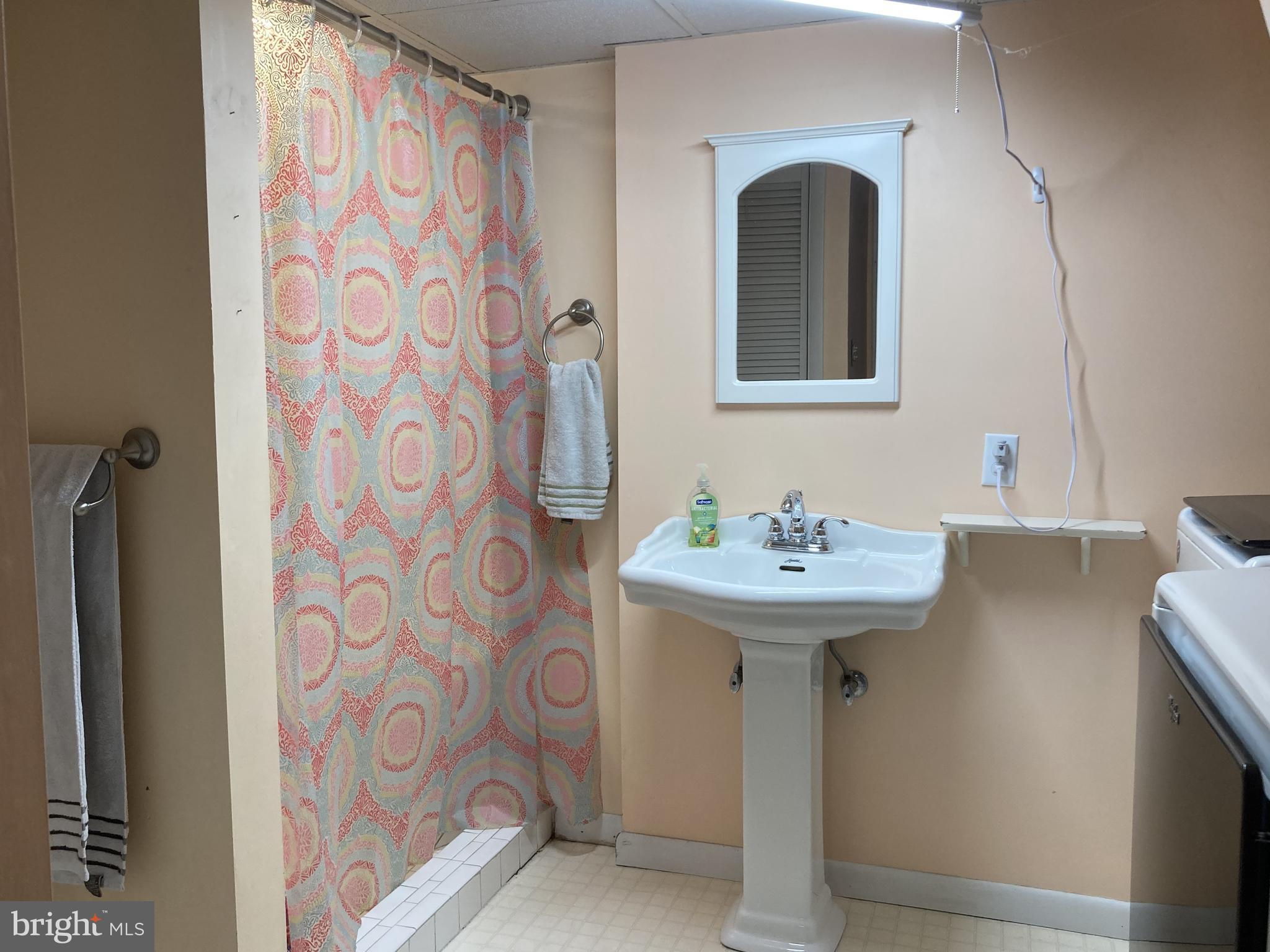 31 McElwee Road Dauphin, PA 17018 - Photo 13 of 27 Basement bath