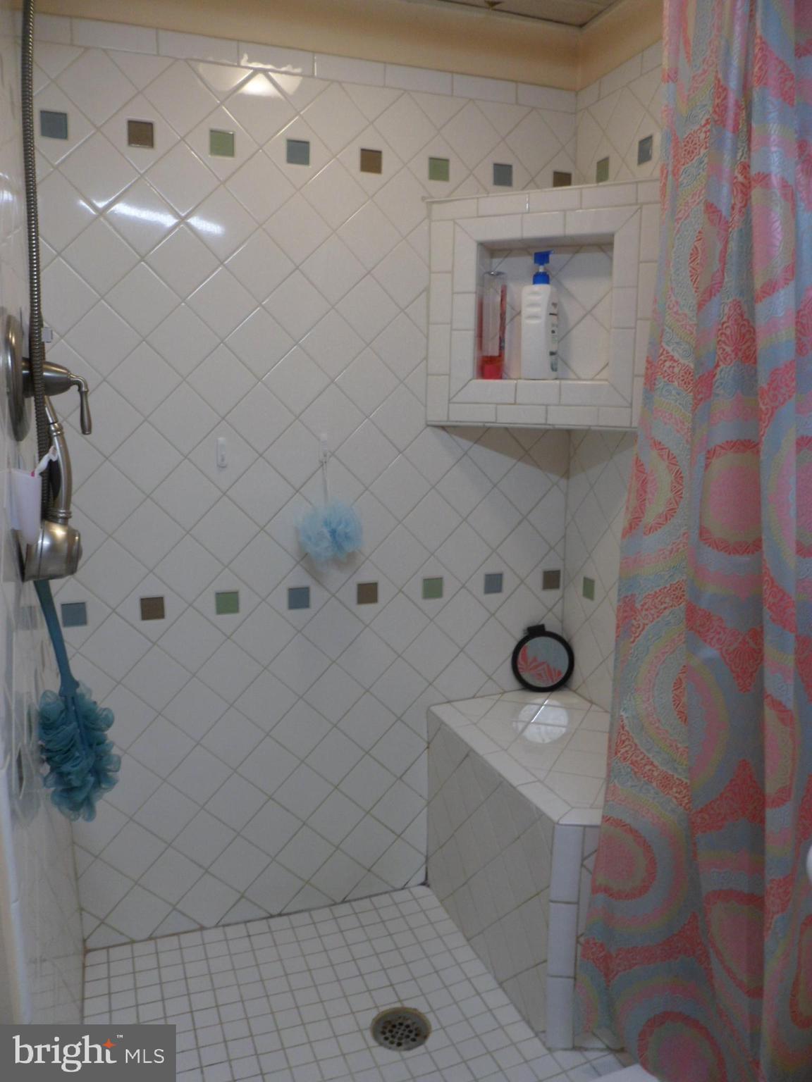 31 McElwee Road Dauphin, PA 17018 - Photo 15 of 27 Pretty tiled shower