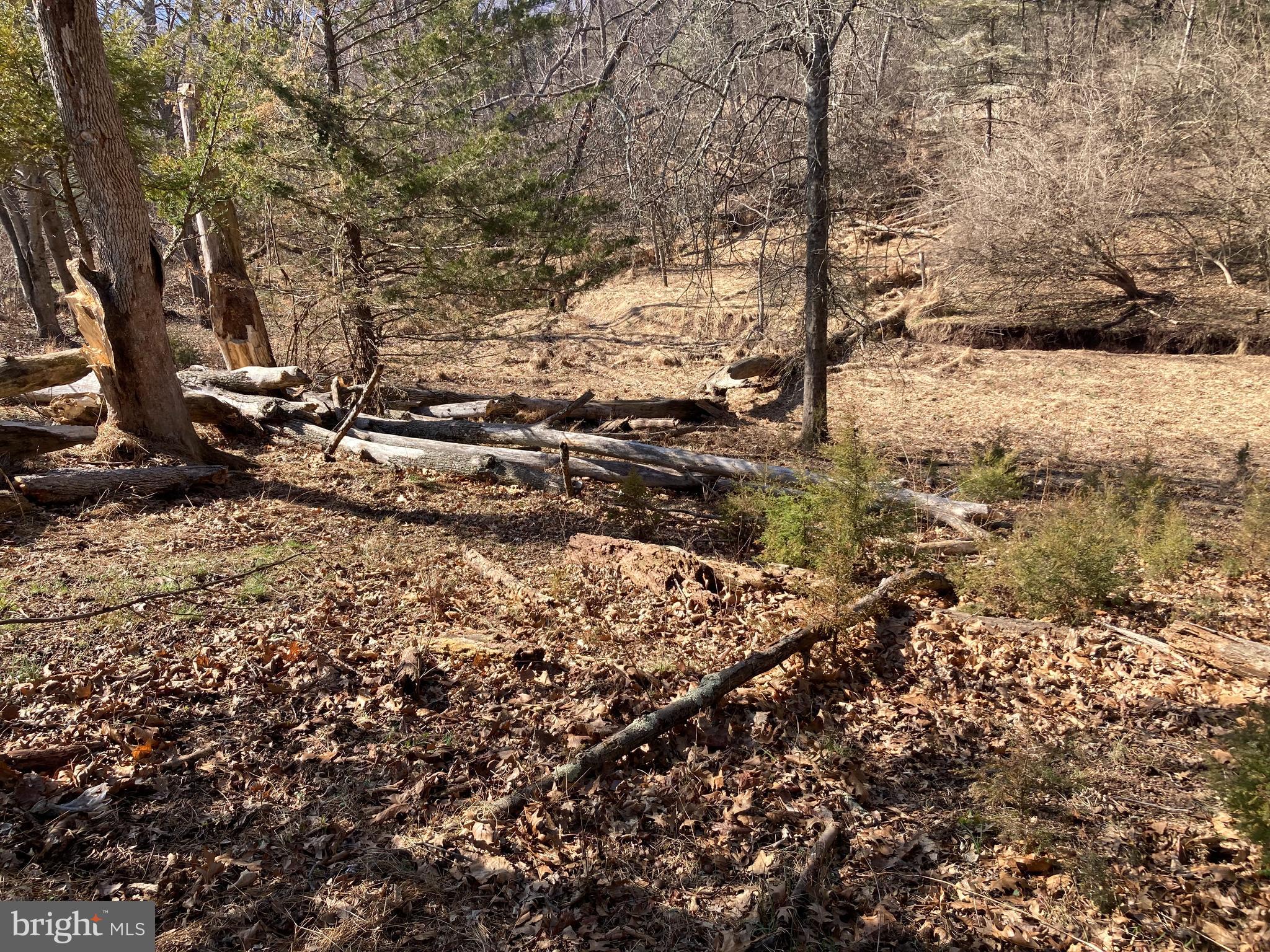 31 McElwee Road Dauphin, PA 17018 - Photo 24 of 27 woods to creek