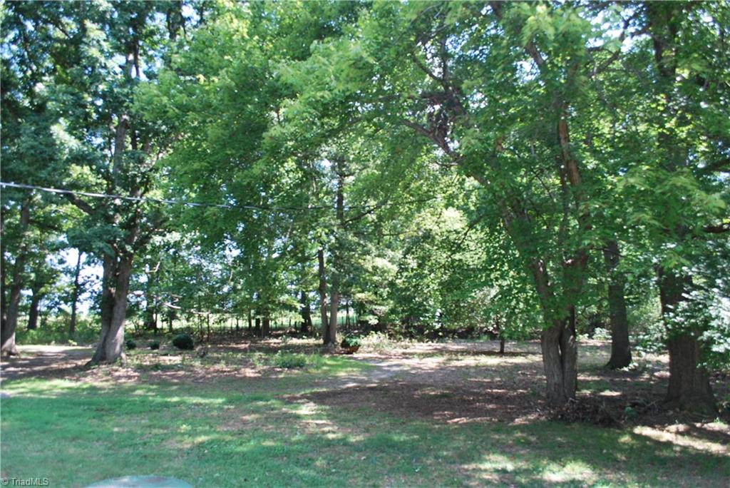 3074 Soapstone Mountain Road Staley, NC 27355 - Photo 17 of 23