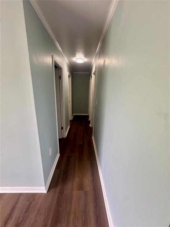 26550 Southwest 4th Road Newberry, FL 32669 - Photo 10 of 23