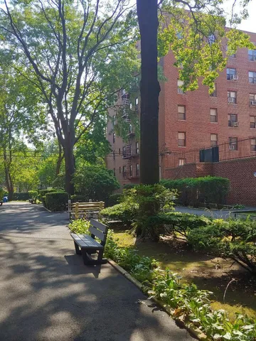 a view of a backyard with plants and a patio