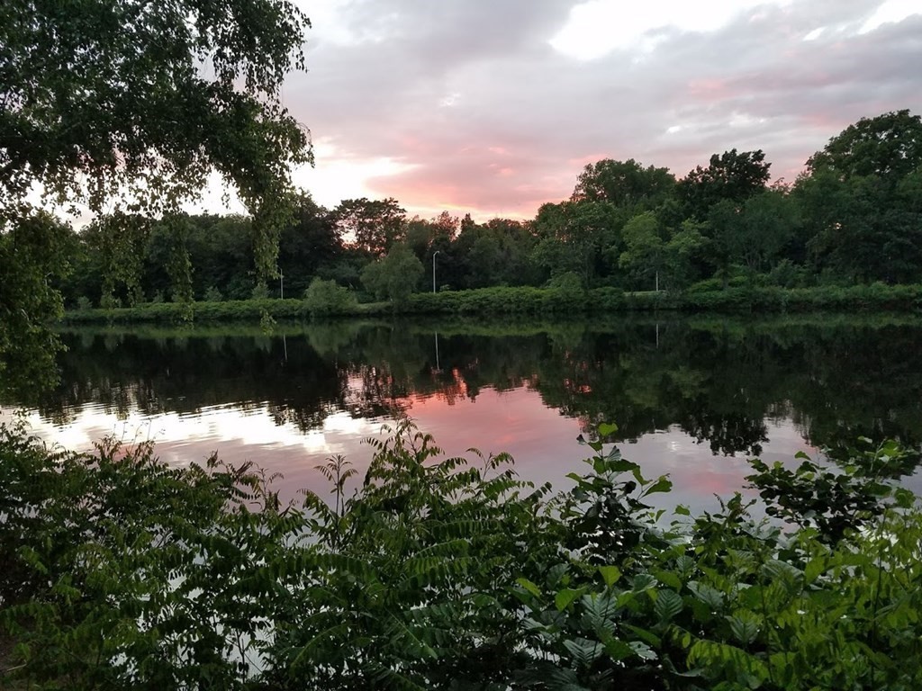 12 Royce Road, Unit 1 Boston, MA 02134 - Photo 1 of 1 a body of water with a tree in the background