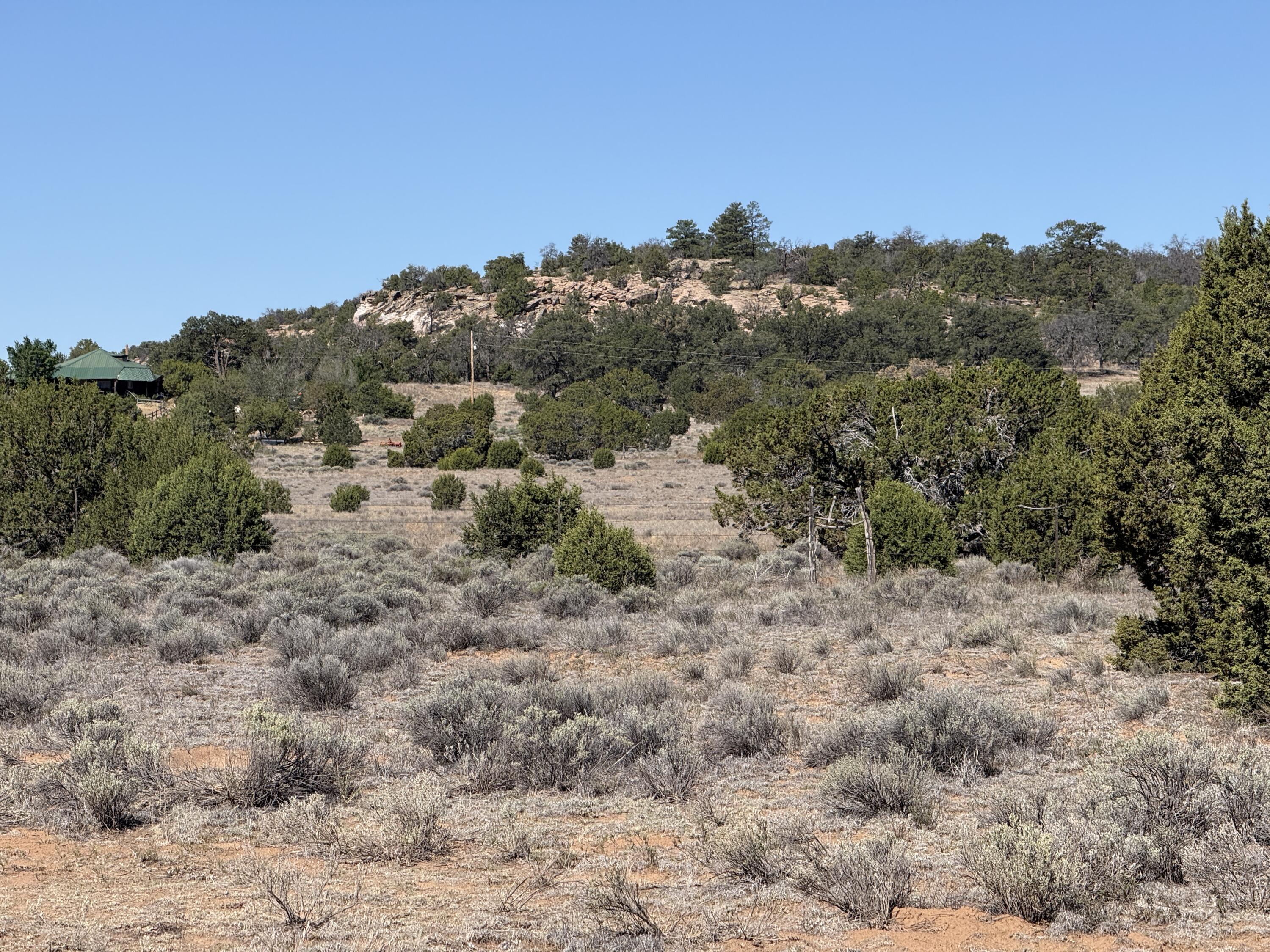 53 Ice Caves Road Ramah, NM 87357 - Photo 2 of 20 Gallery Image 2