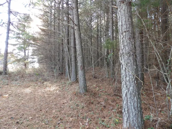 $109,000 | Lot 22 Summercity Road, Evensville, TN 37332