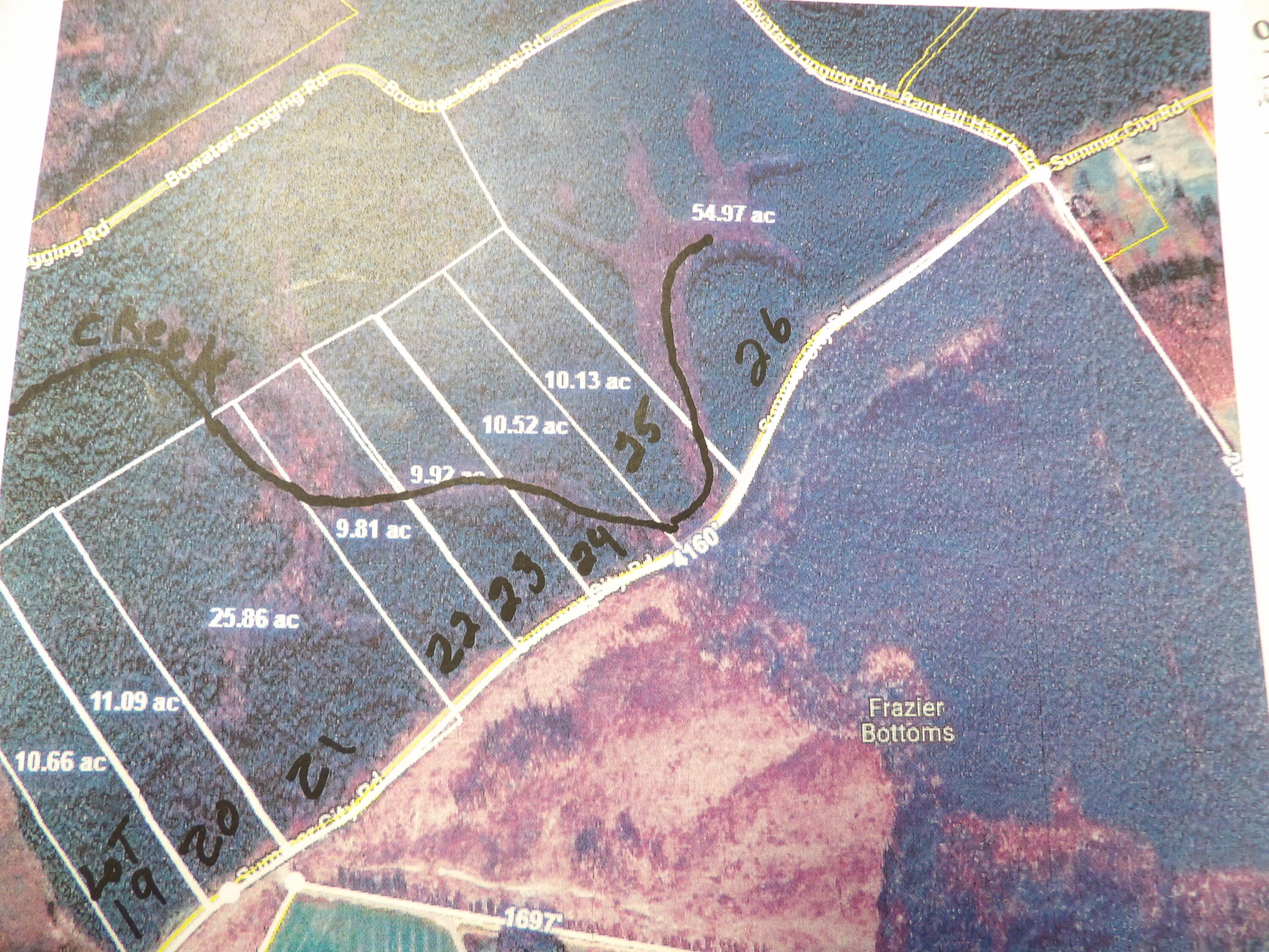 Lot 22 Summercity Road Evensville, TN 37332 - Photo 9 of 9 100_2134