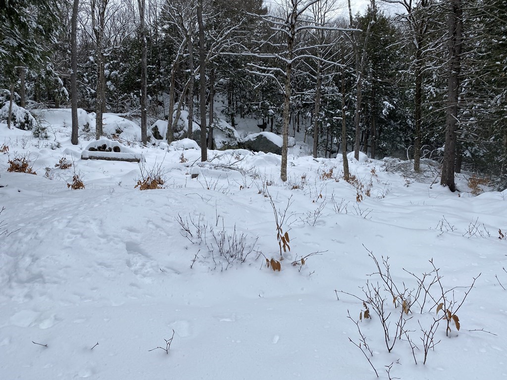 0 Spruce Corner Road Ashfield, MA 01330 - Photo 3 of 4 a view of a snow on the beach