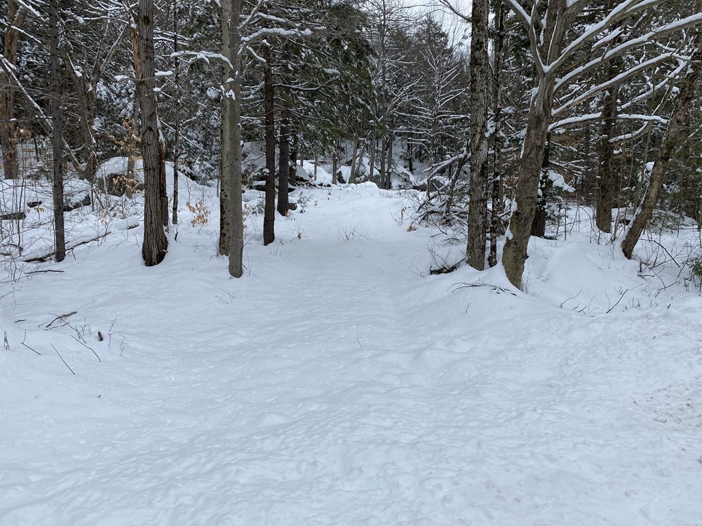0 Spruce Corner Road Ashfield, MA 01330 - Photo 4 of 4 a view of road with trees