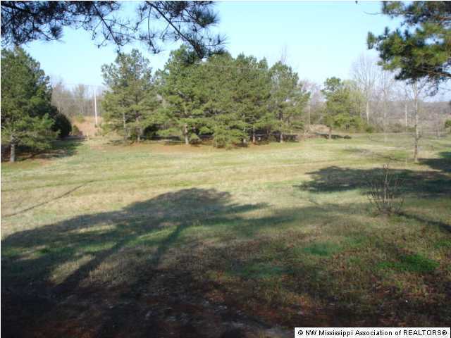 4960 Treadway Road Hernando, MS 38632 - Photo 3 of 9 Additional Photo