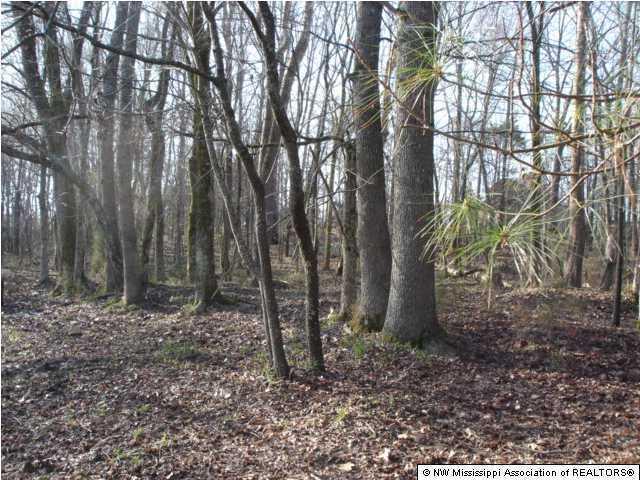 4960 Treadway Road Hernando, MS 38632 - Photo 5 of 9 Additional Photo