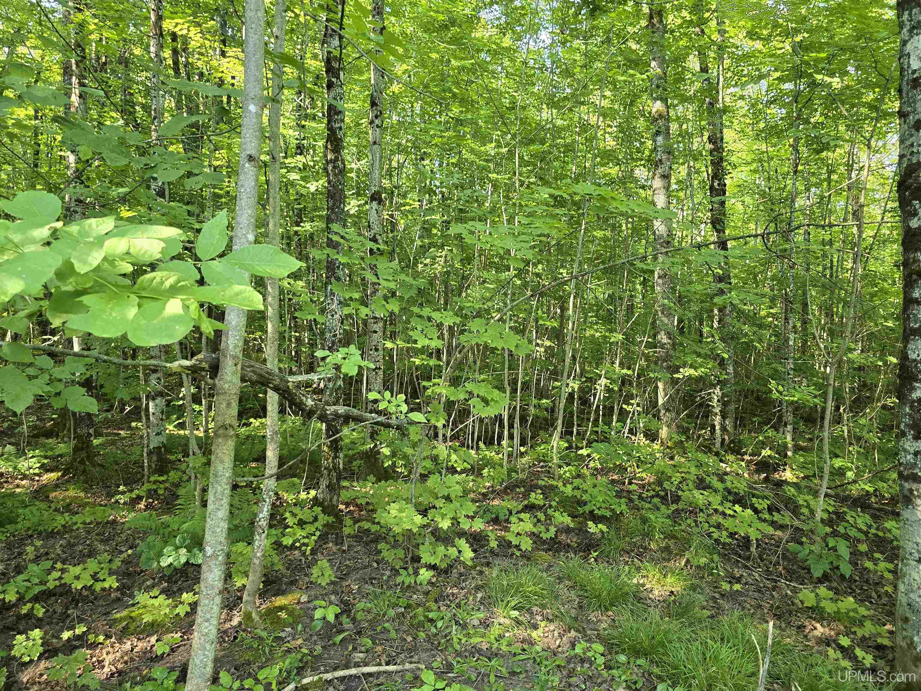 16454 Blue Road Pelkie, MI 49958 - Photo 46 of 50