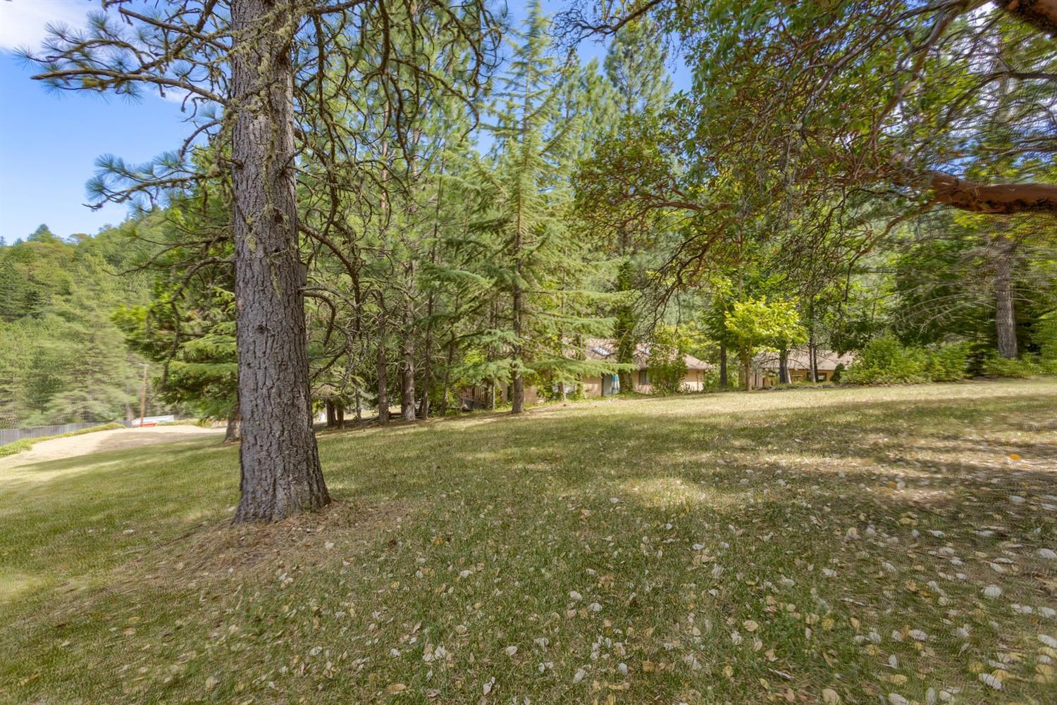 600 Schiefflin Gulch Road Gold Hill, OR 97525 - Photo 31 of 35 Additional Photo