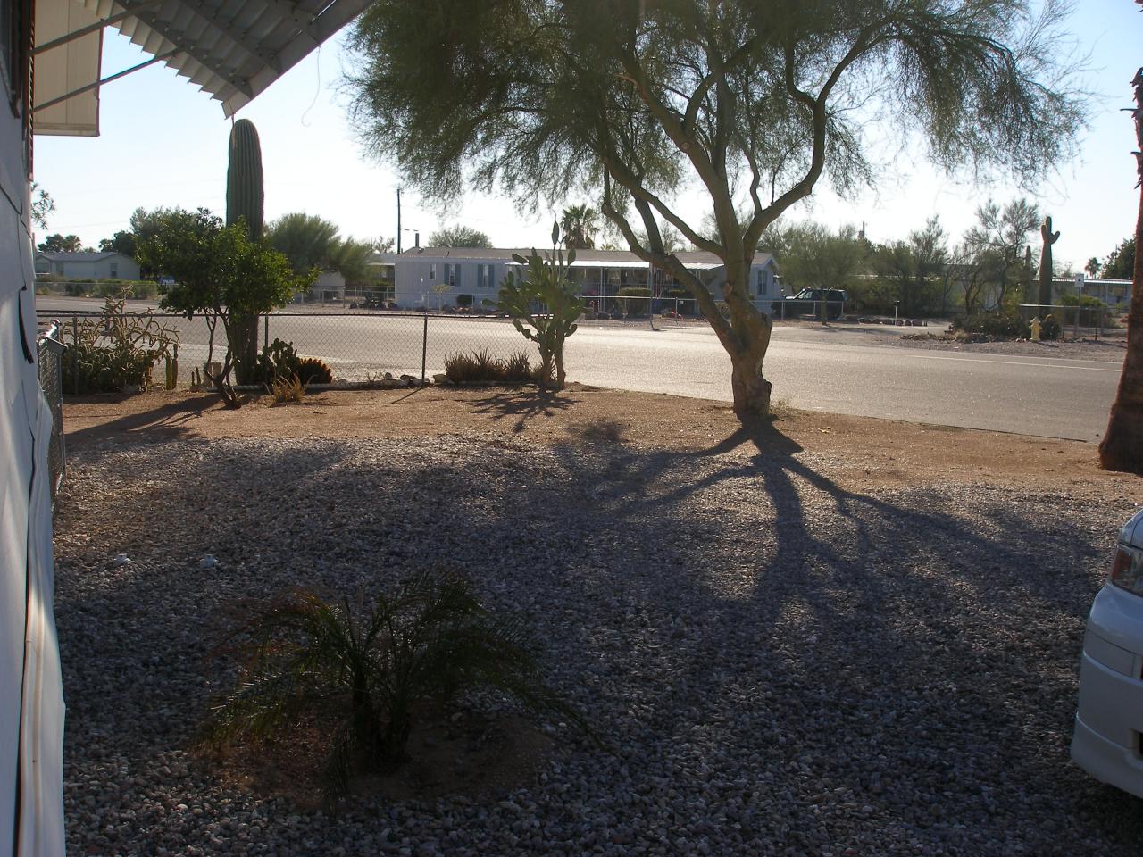 2161 South Tomahawk Road Apache Junction, AZ 85119 - Photo 12 of 19 trees for shade