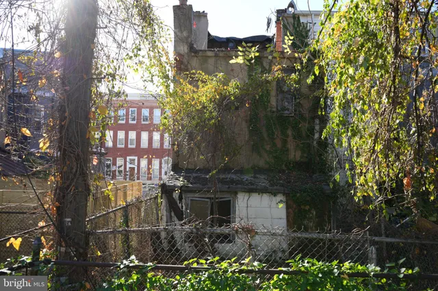 a backyard of a building with lots of green space