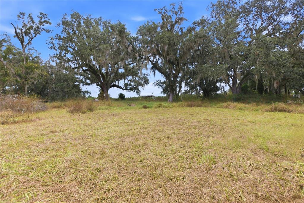 1841 State Rte 66 Zolfo Springs, FL 33890 - Photo 32 of 34 a view of yard with swimming pool and trees