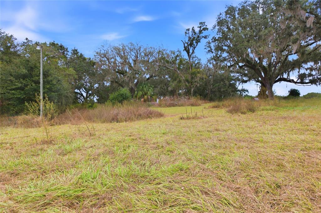 1841 State Rte 66 Zolfo Springs, FL 33890 - Photo 33 of 34 a view of a yard