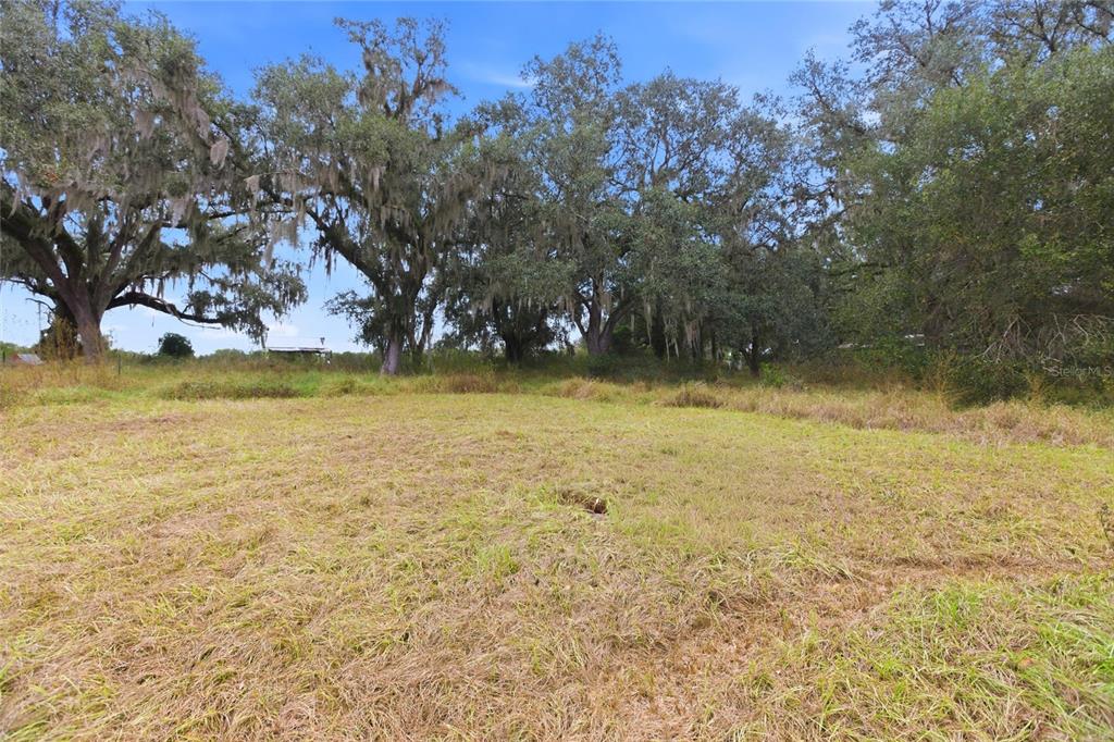 1841 State Rte 66 Zolfo Springs, FL 33890 - Photo 34 of 34 a view of yard with swimming pool and trees