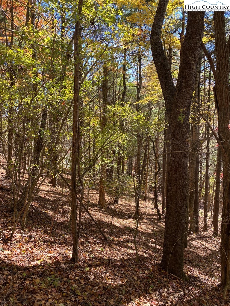Nc-105 Highway Boone, NC 28607 - Photo 11 of 17 a view of a yard