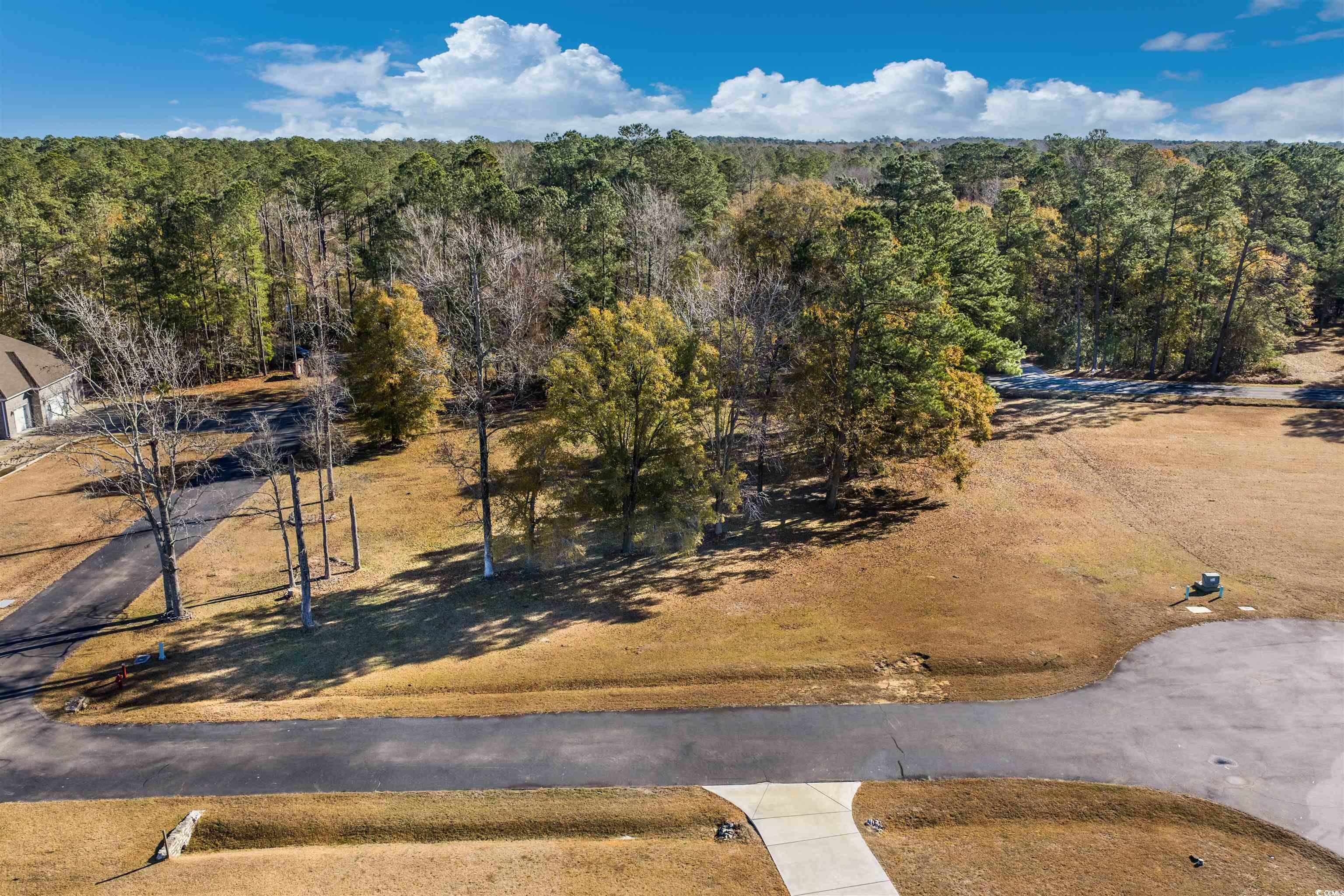 206 Mooney Court Loris, SC 29569 - Photo 11 of 35
