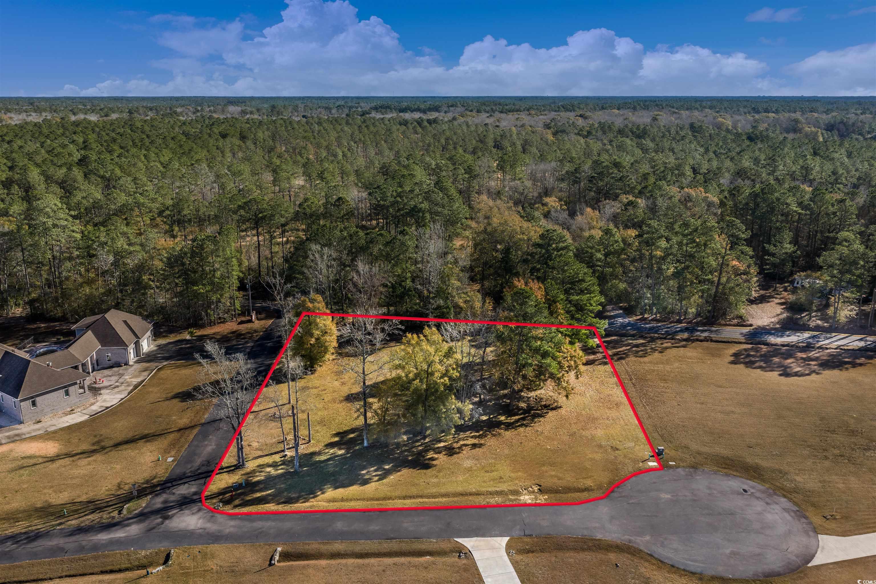 206 Mooney Court Loris, SC 29569 - Photo 13 of 35