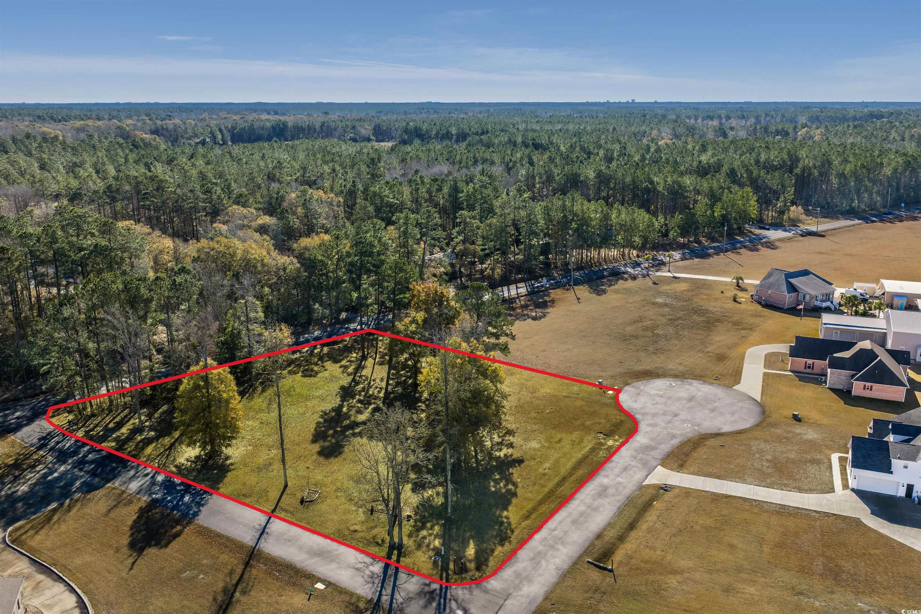 206 Mooney Court Loris, SC 29569 - Photo 15 of 35