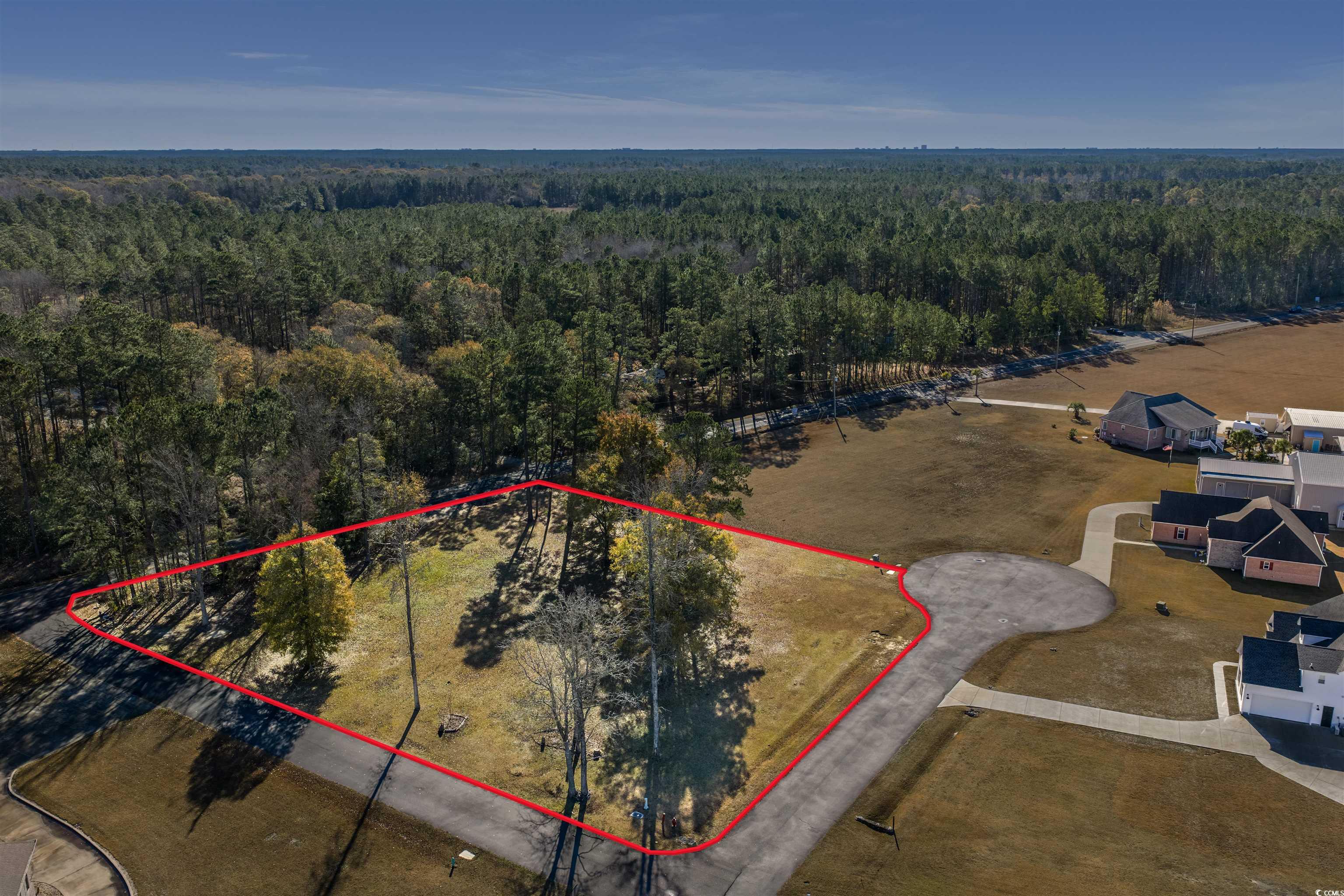 206 Mooney Court Loris, SC 29569 - Photo 16 of 35