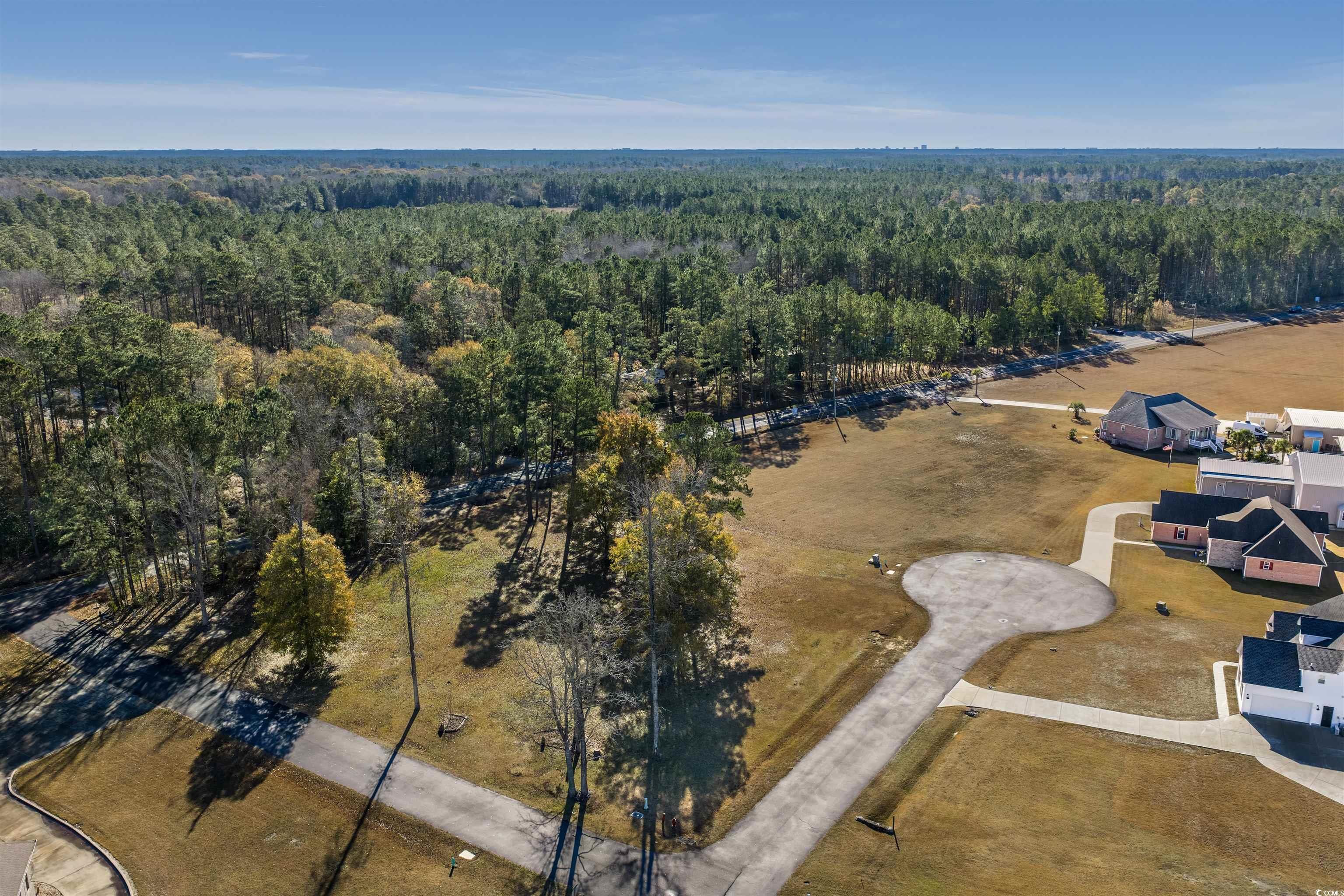 206 Mooney Court Loris, SC 29569 - Photo 17 of 35