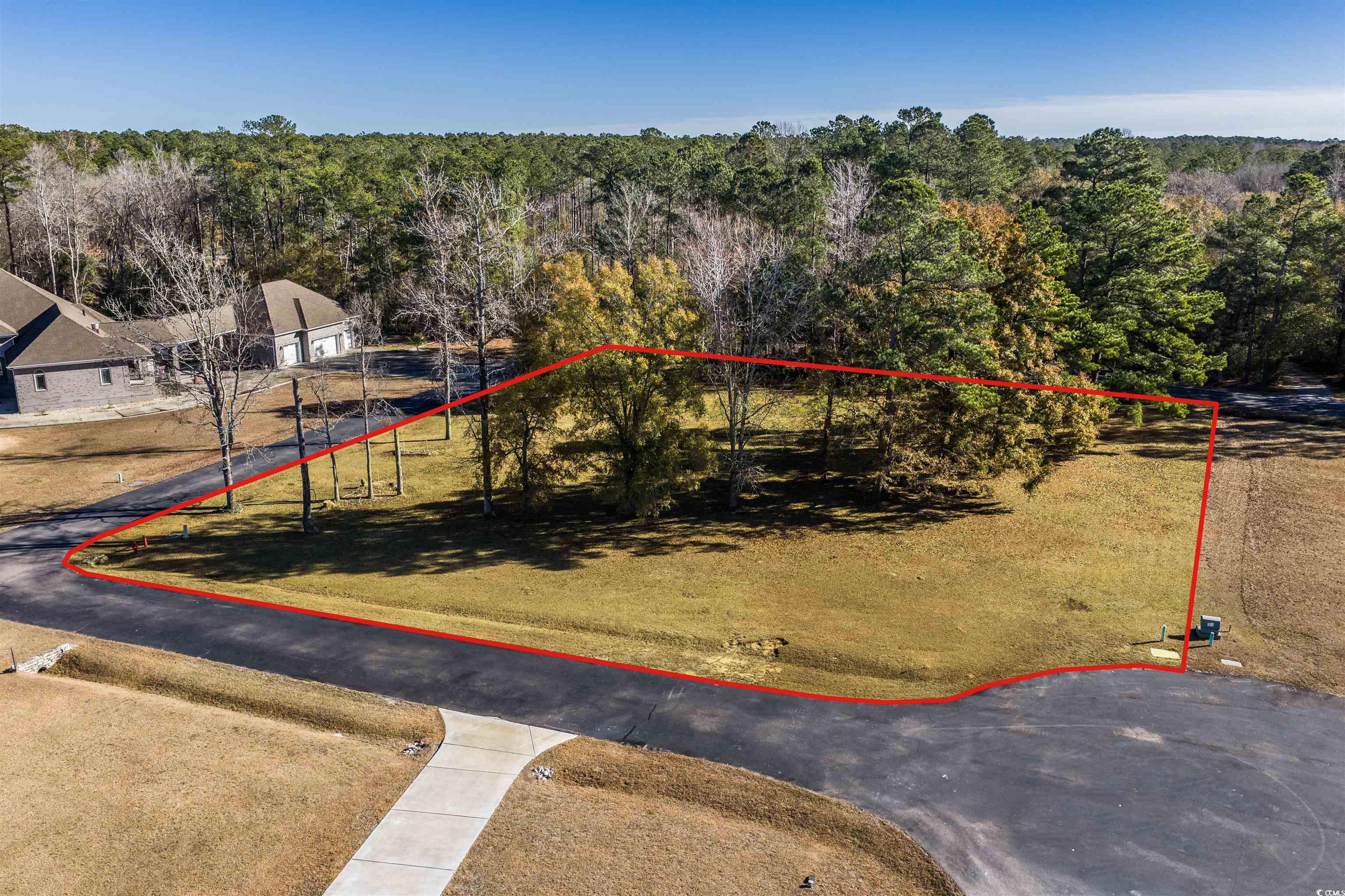 206 Mooney Court Loris, SC 29569 - Photo 6 of 35