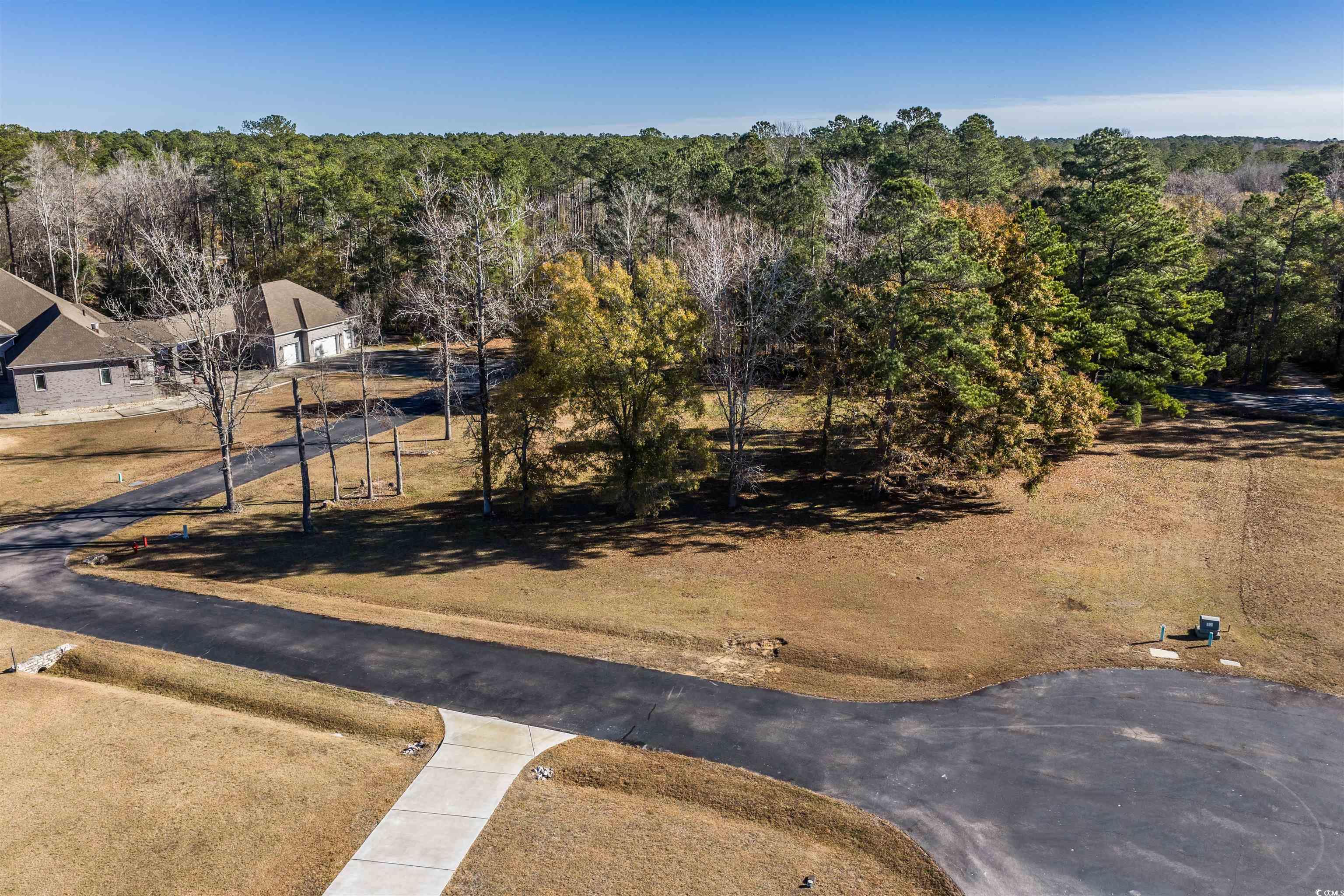 206 Mooney Court Loris, SC 29569 - Photo 8 of 35