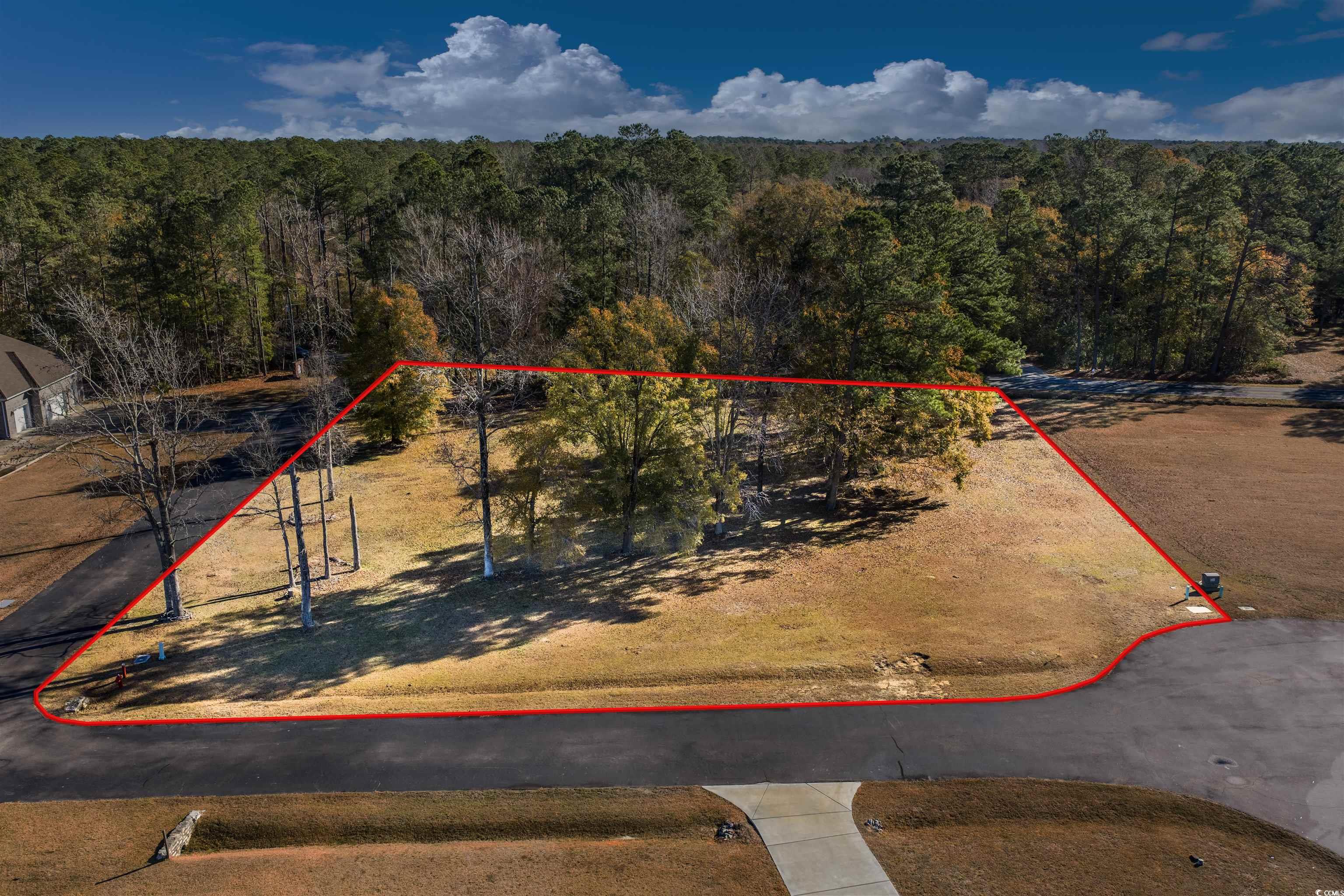 206 Mooney Court Loris, SC 29569 - Photo 10 of 35