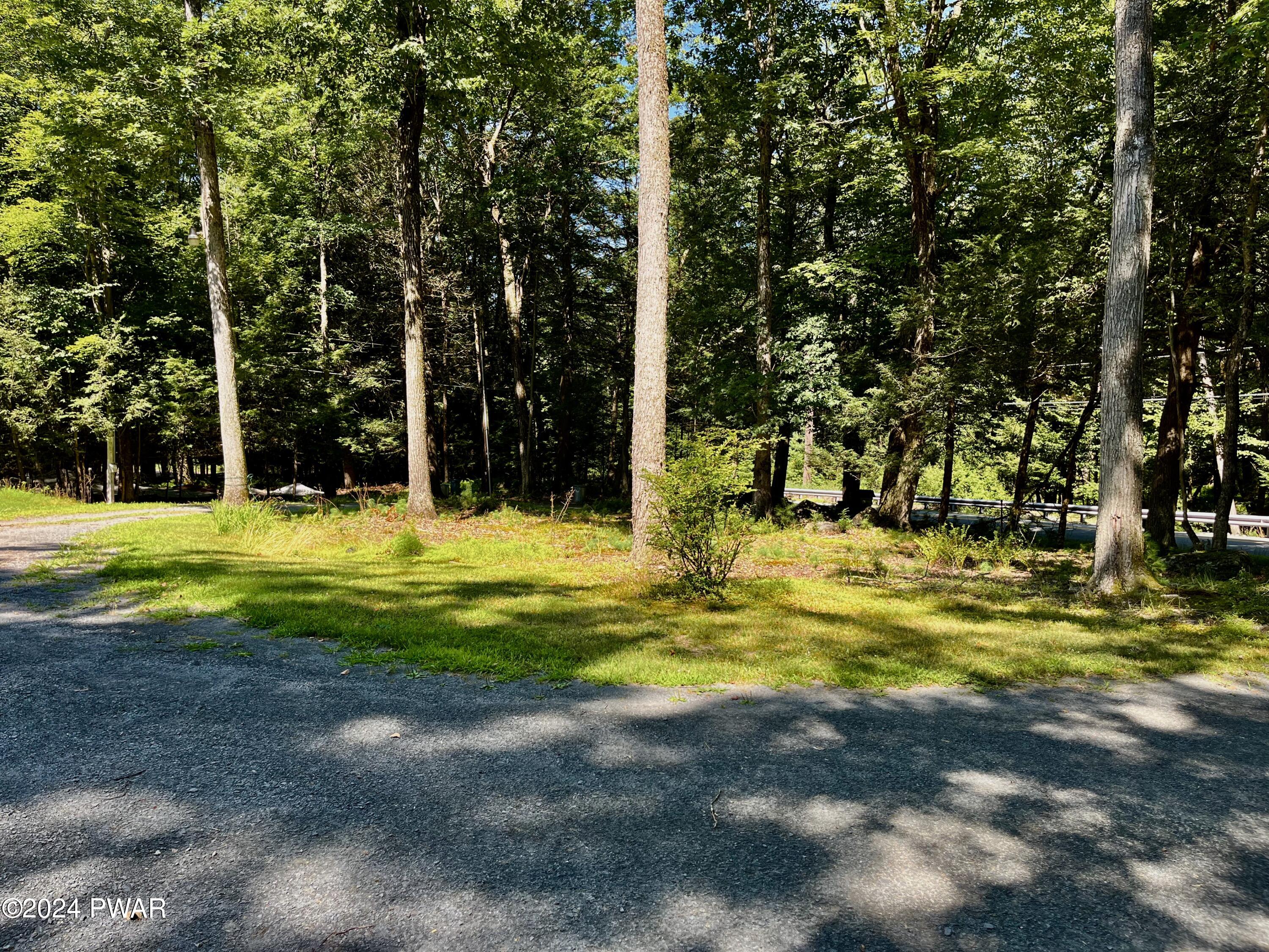 98 Swamp Brook Road Hawley, PA 18428 - Photo 18 of 49 FRONT YARD