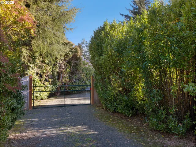 a view of a yard with plants and trees