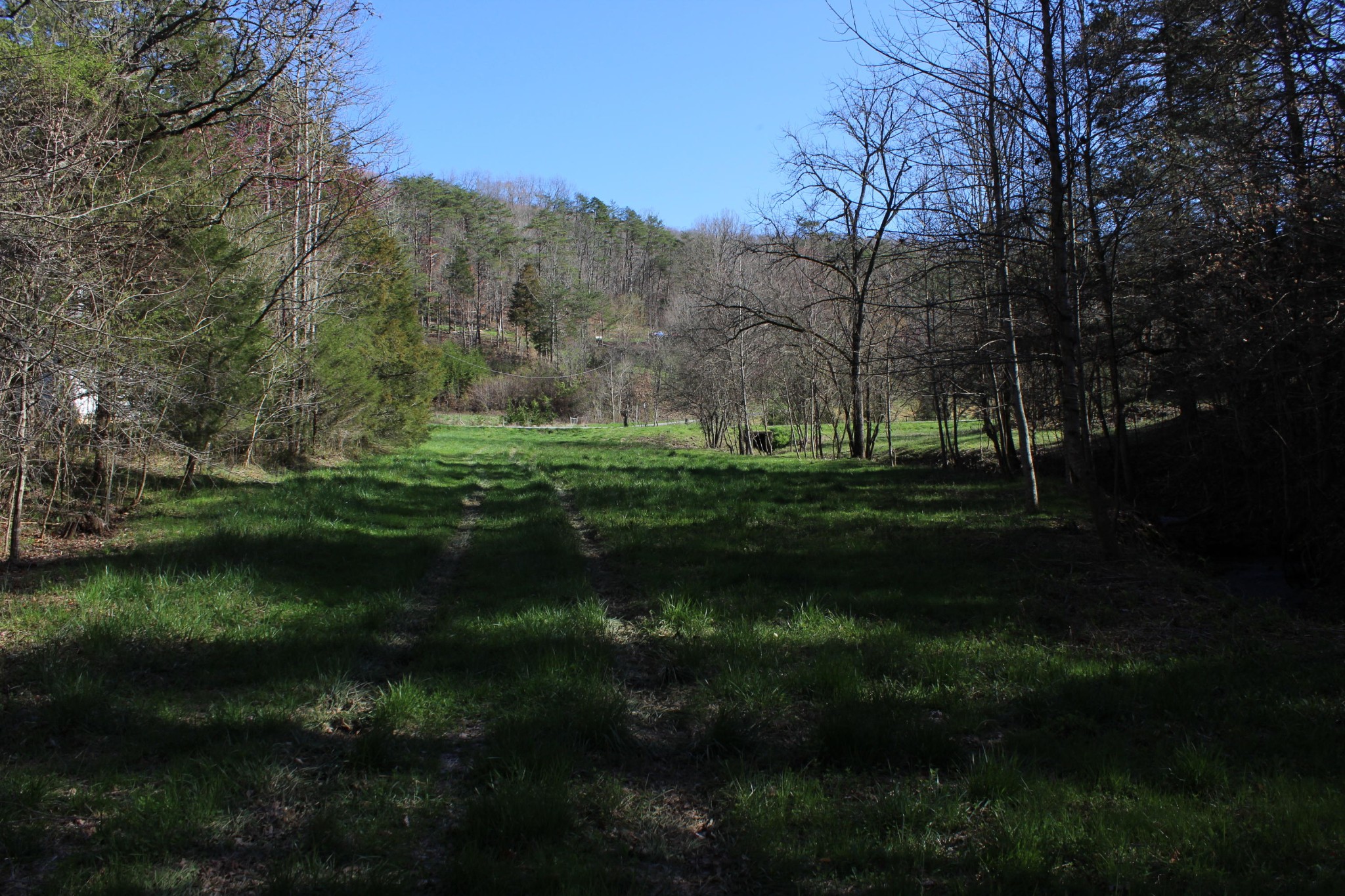 0 Black Fox Road Washburn, TN 37888 - Photo 9 of 25 Gallery Image 9