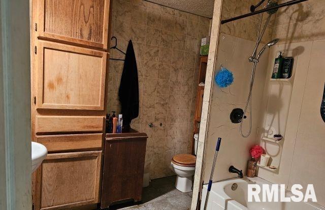 470 Peters Creek Road Cave In Rock, IL 62919 - Photo 3 of 8 Gallery Image 3