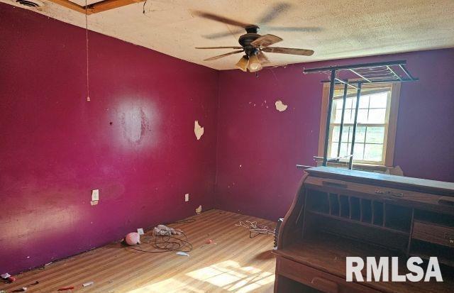 470 Peters Creek Road Cave In Rock, IL 62919 - Photo 4 of 8 Gallery Image 4