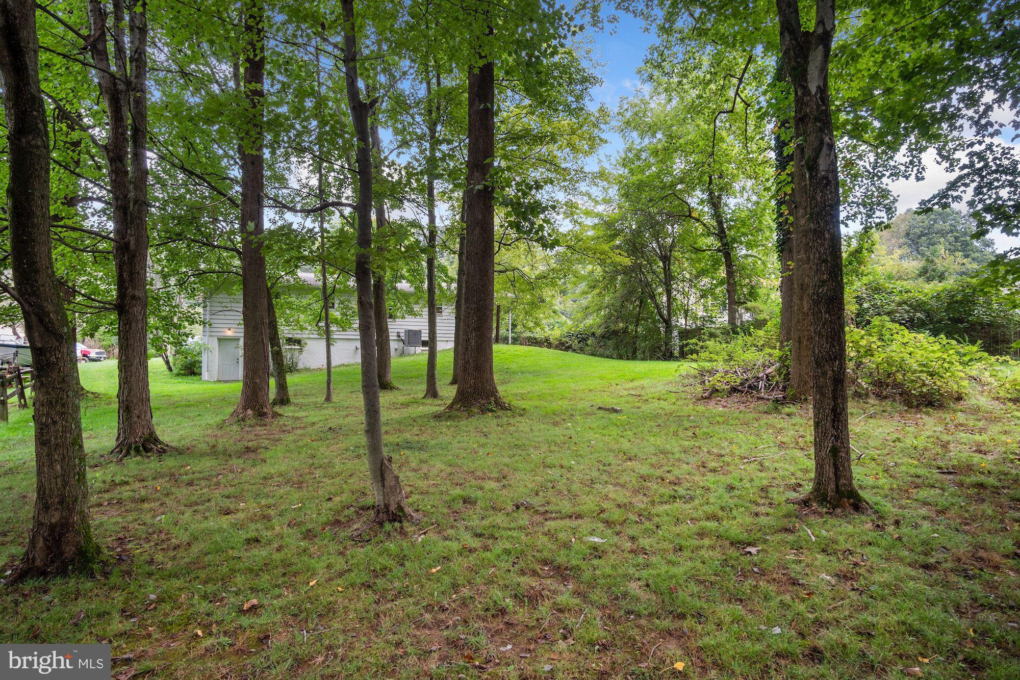 1437 Harding Lane Silver Spring, MD 20905 - Photo 23 of 25 Gallery Image 23