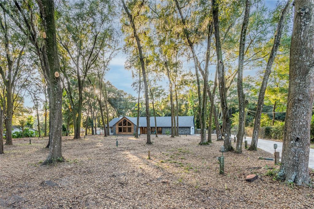 3415 Ranch Road Valrico, FL 33596 - Photo 4 of 62
